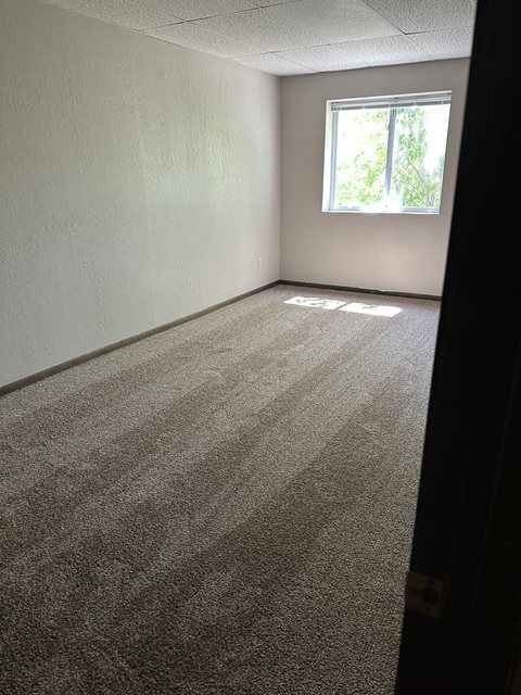 Clear Lake Apartments photo
